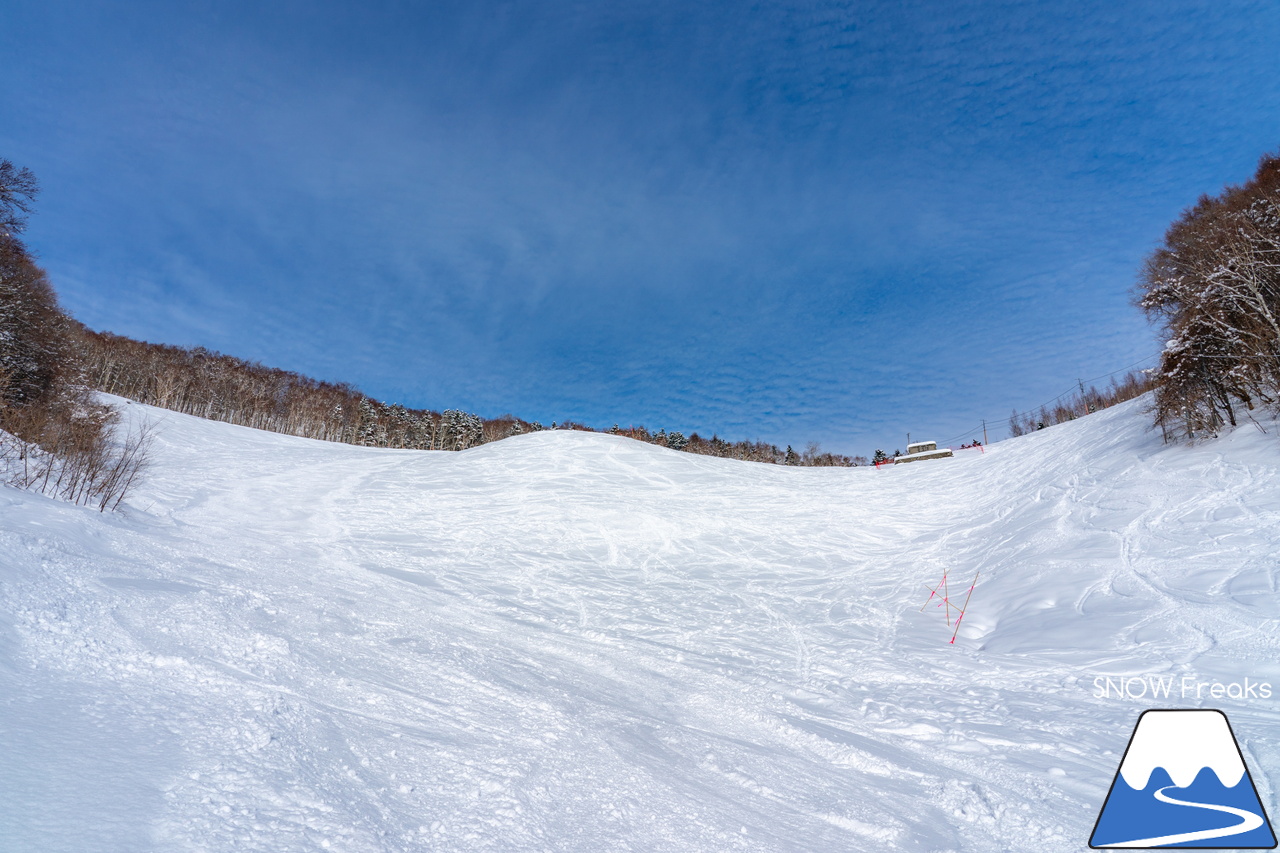 札幌藻岩山スキー場｜ふわっふわの粉雪シーズン到来！思いっきり多彩なコースを楽しみましょう！